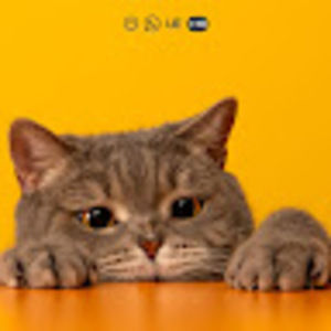 Meet your Posher, Scorpiolion